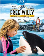 Free Willy Escape From Pirate's Cove